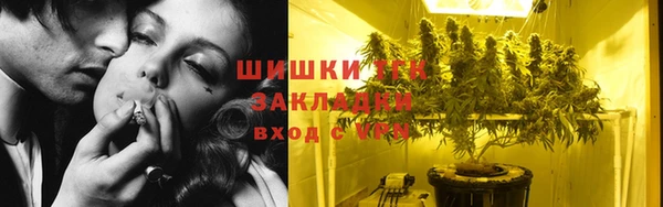 трава Аркадак