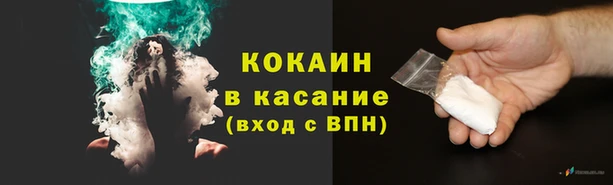 трава Аркадак
