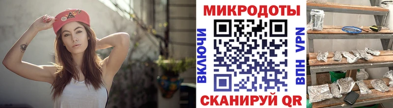 Купить где  Нариманов  Галлюциногенные грибы GOLDEN TEACHER 